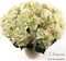 Hydrangea Silk Flowers Plant, Green & Pink - Artificial Hydrangea Bush with 7 Lifelike Blooms, Ideal for Indoor Home Decor, Outdoor Display, Weddings, Centerpieces & Bouquets, Floral Home by Artificial Flowers